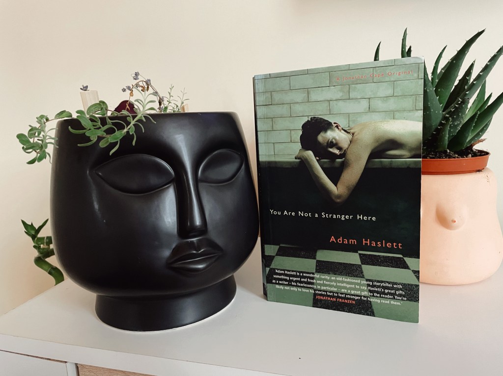 You are not a stranger here – Adam Haslett | Recenzie&nbsp;literară