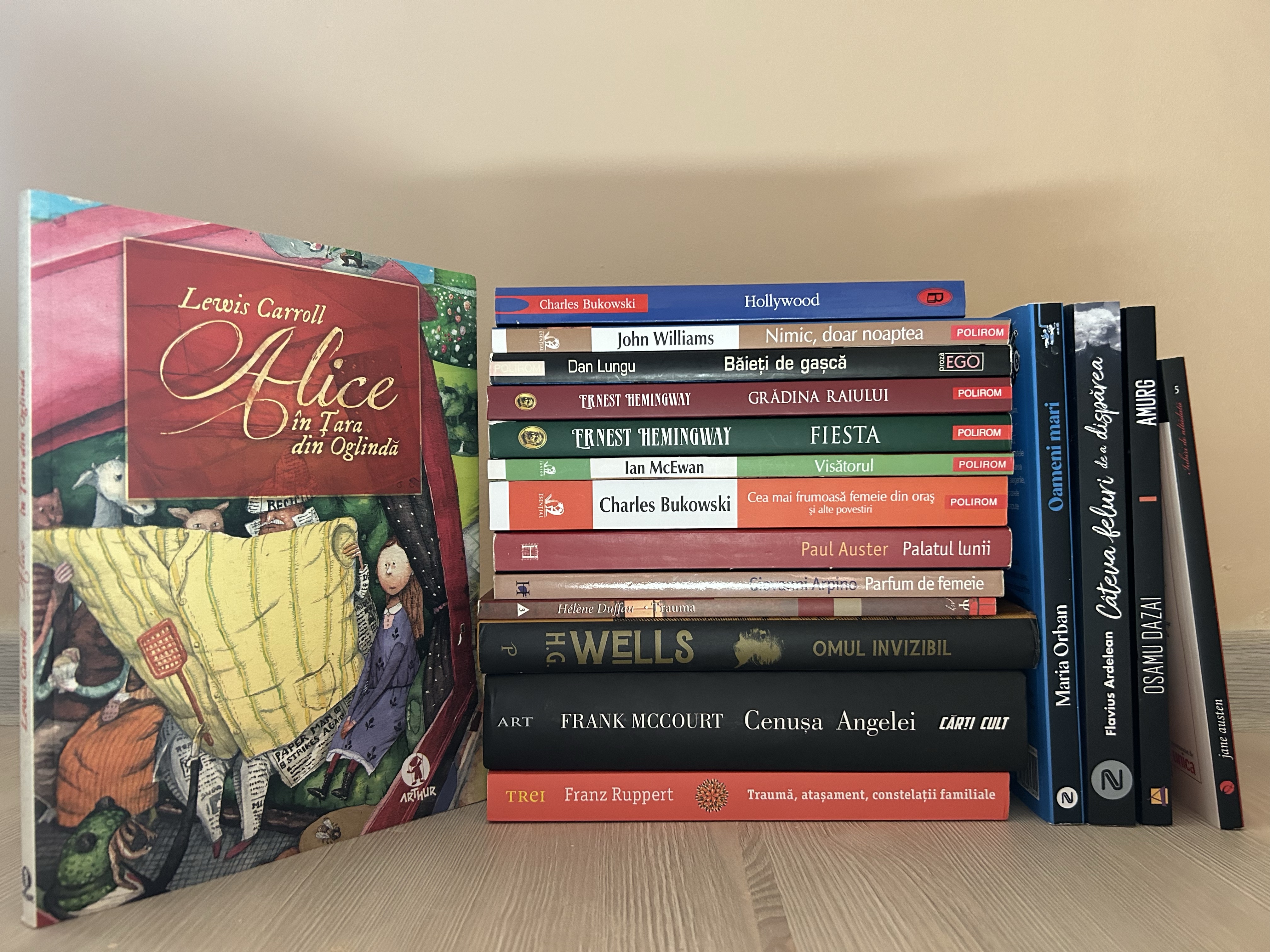 evoluția colecției mele de cărți 2