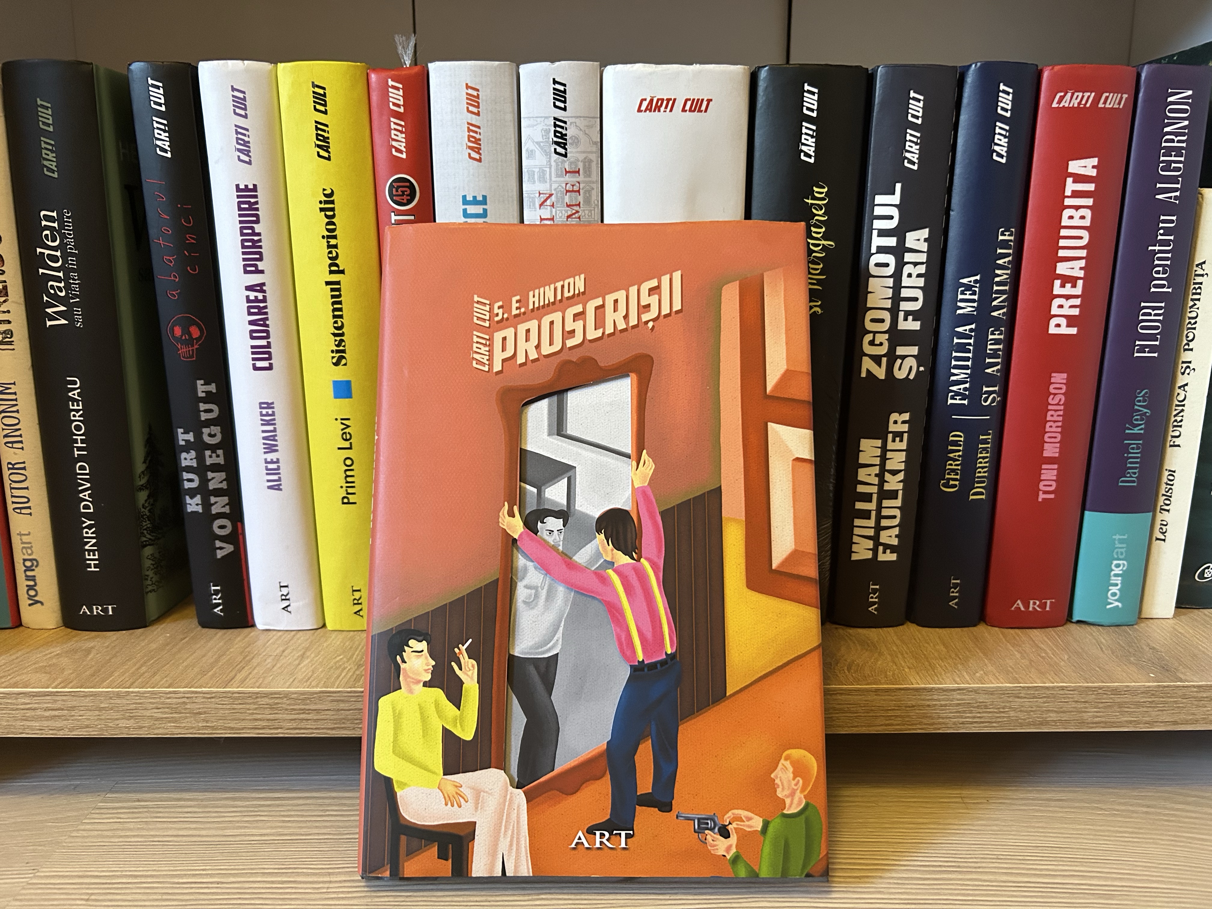 s.e.hinton proscrișii carte
