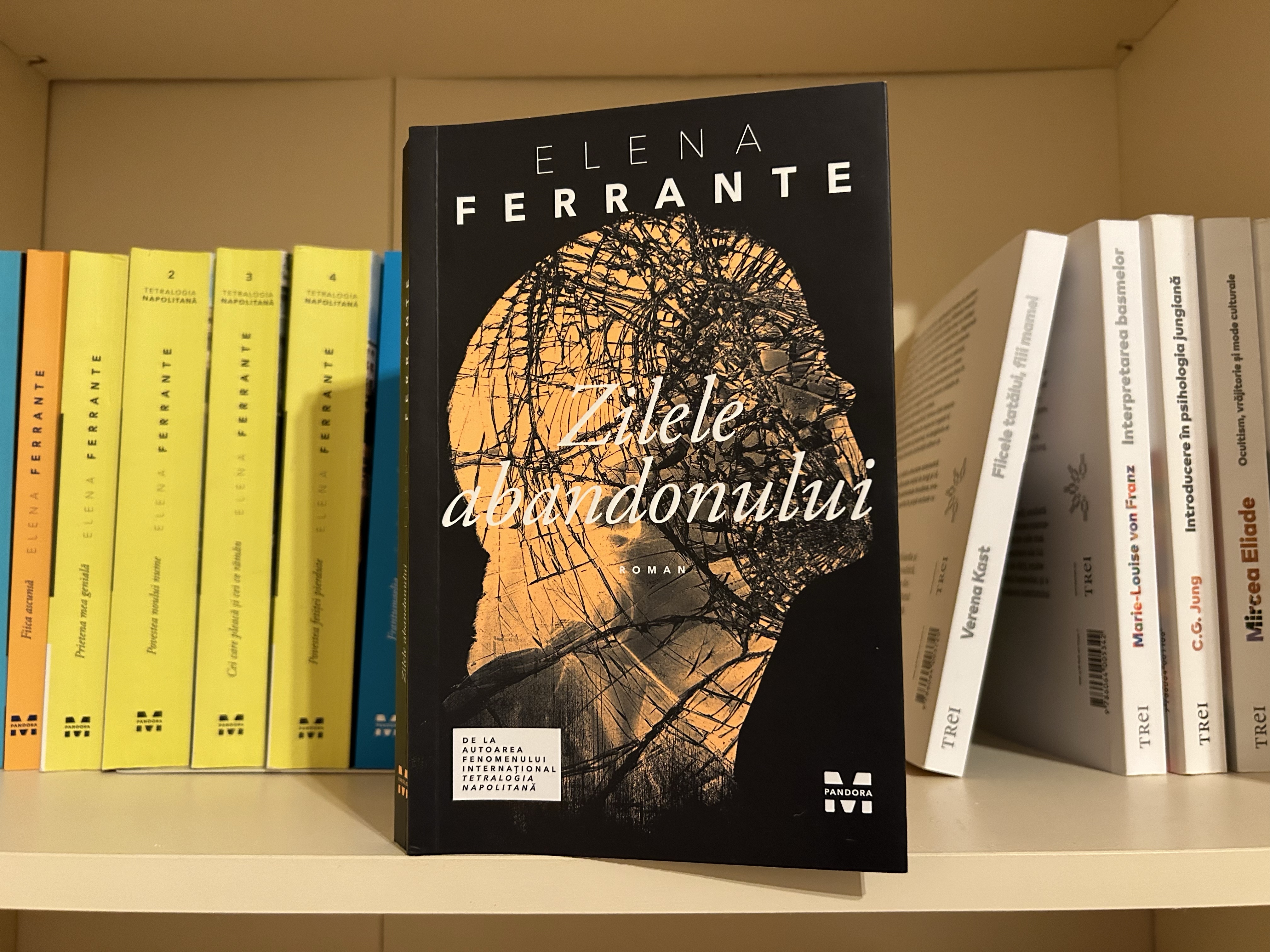 zilele abandonului elena ferrante 