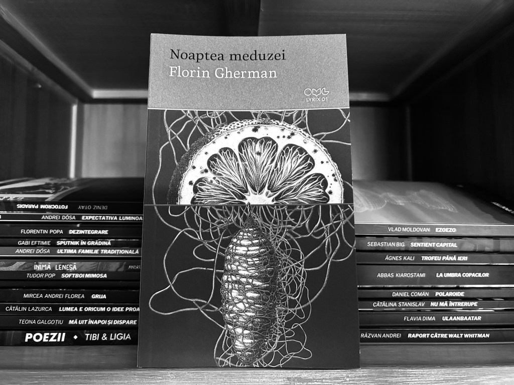 (f.gherman) băiatul nedorit al&nbsp;vrăjitoarei