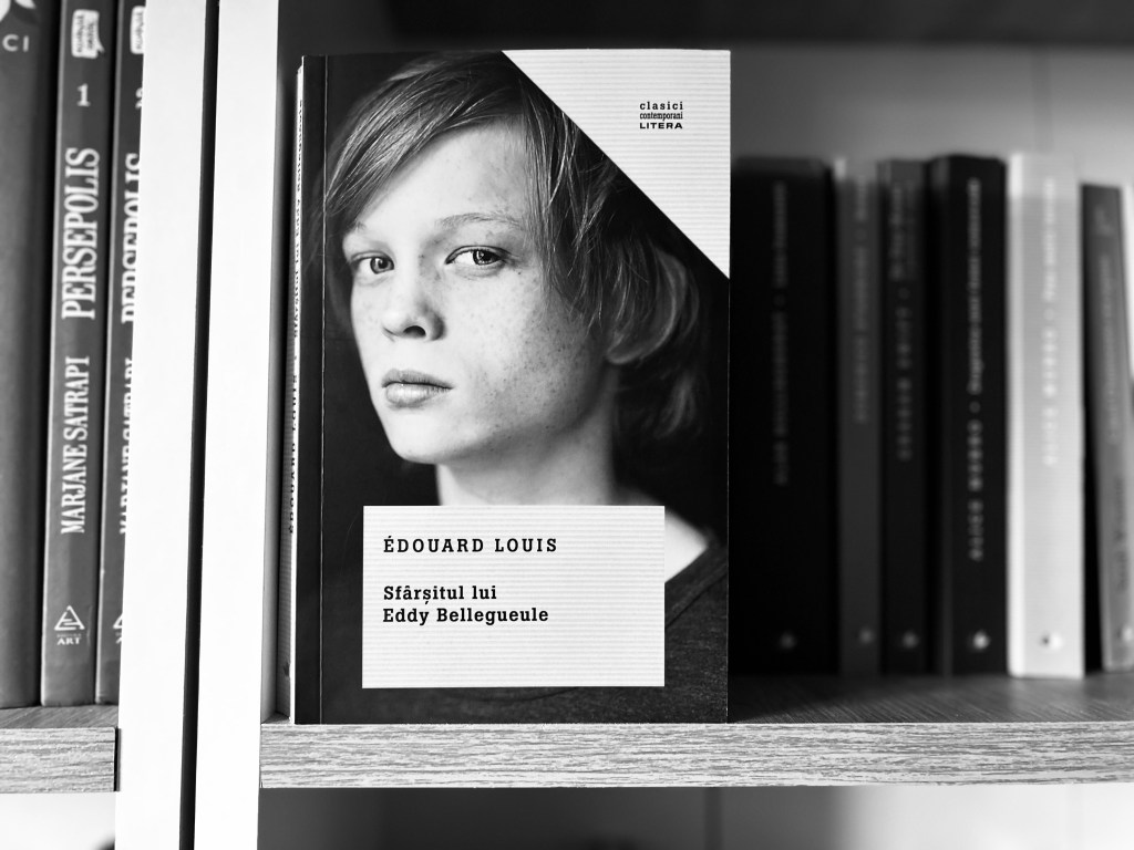 (sfârșitul lui eddy bellegueule) moartea unui&nbsp;sine